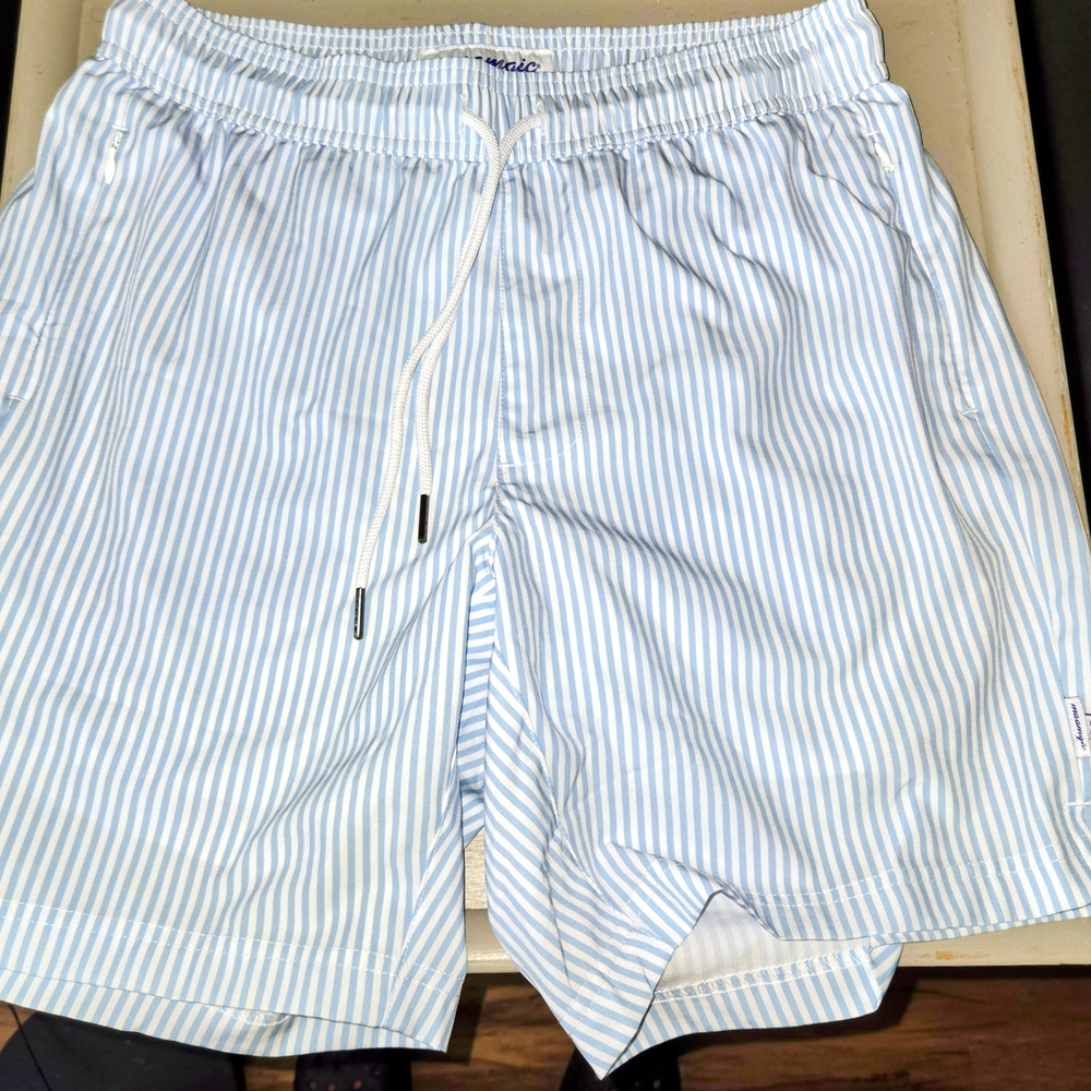 Blue Striped Men's Swim Shorts